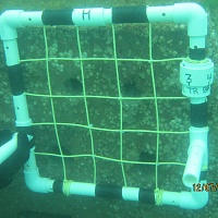 A grid helps divers inspect every inch of wall surface. The smaller tunnels are 2&rdquo; in diameter, the larger tunnels are 3&rdquo; in diameter.