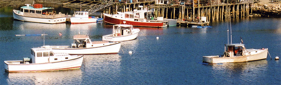Frenchboro Harbor, Maine